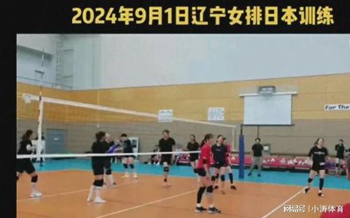 辽宁女排爆料了吗最新消息,揭秘爆料背后的真相与进展