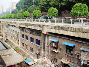 重庆爆料违建最新消息,多区域违建行为被查处，整治行动持续进行